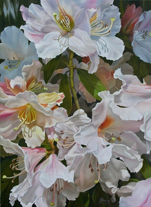 "Frill Seekers"