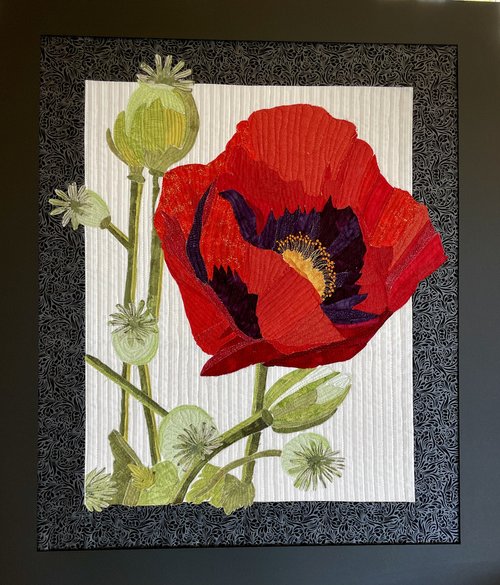 Red Bursting Poppy | Marcia Douglas | Prentice Gallery | Mendocino