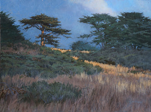 "Mendocino Cypresses"