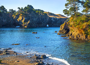 "Buckhorn Cove, Mendocino Coast"