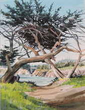 Load image into Gallery viewer, &quot;Freeform&quot; ~ SOLD
