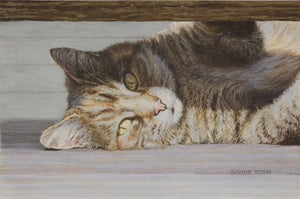 "Lazy Summer Day"