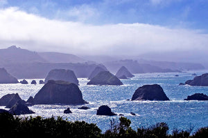 "Morning Mist, Cuffy's Cove"