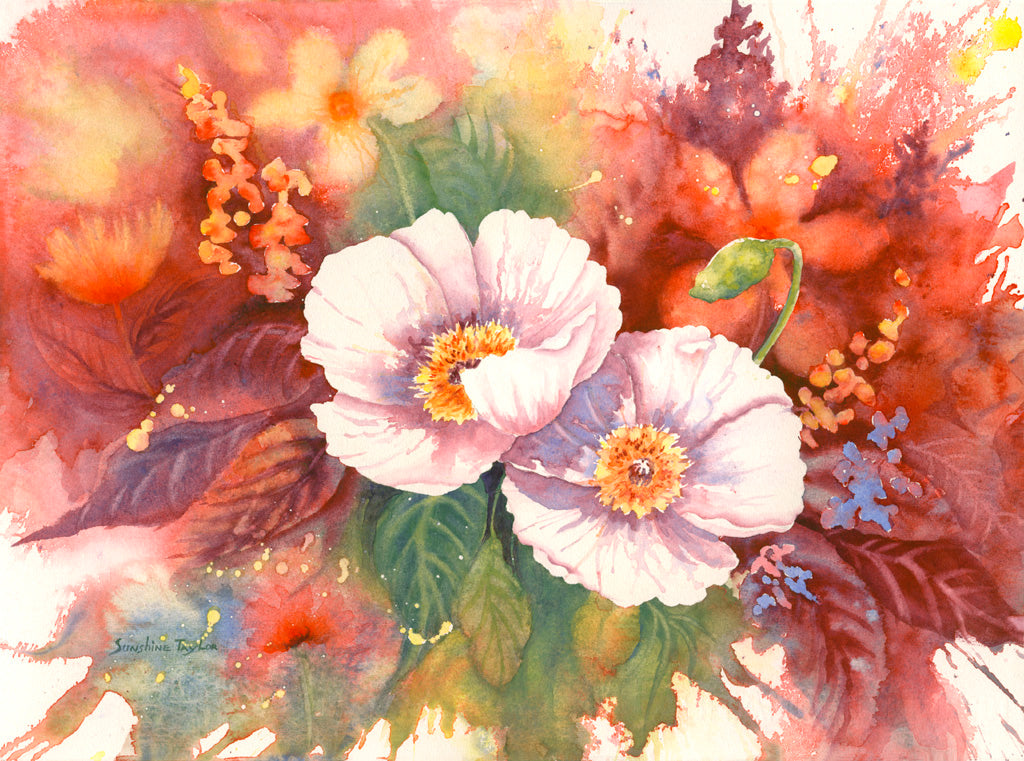 Poppy Glow | Sunshine Taylor | Prentice Gallery