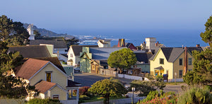 "Rooftops of Mendocino"