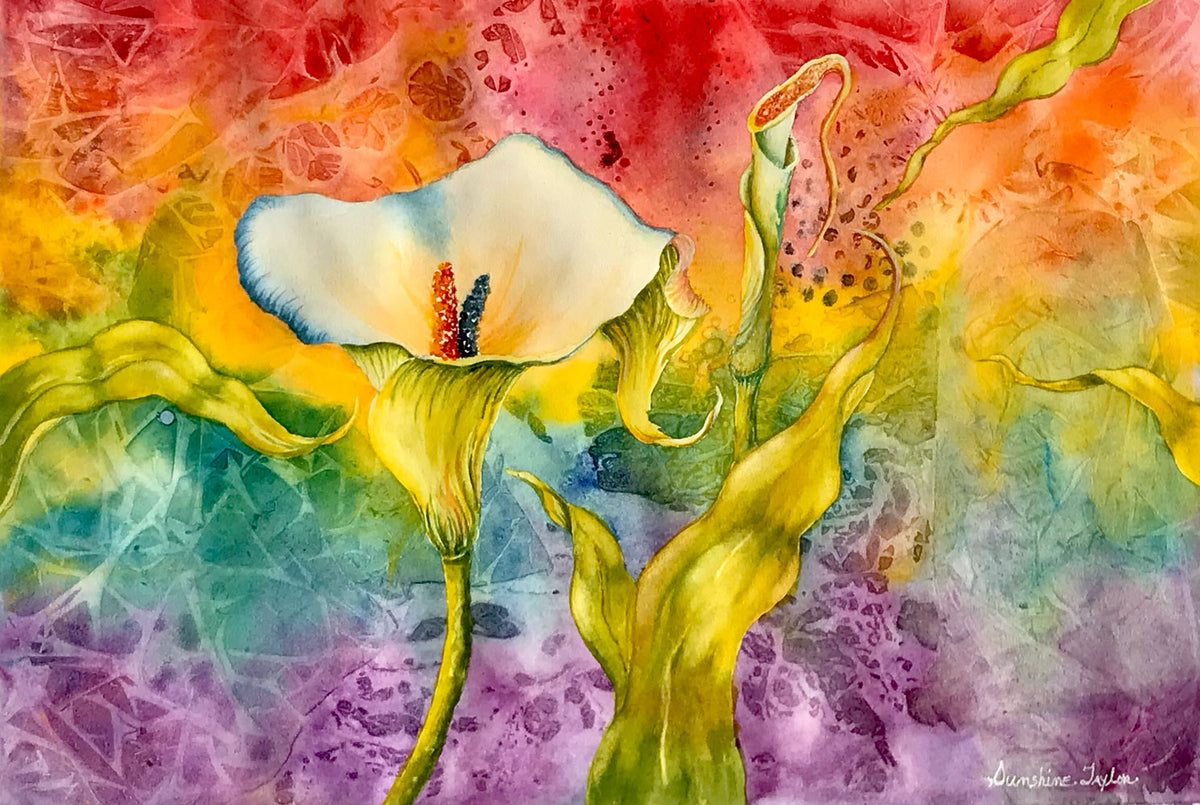 Magic Calla | Sunshine Taylor | Acrylic | Original | Prentice Gallery
